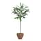 Hello Honey® 20.75" Evergreen Faux Olive Topiary Tree in Dolomite Pot